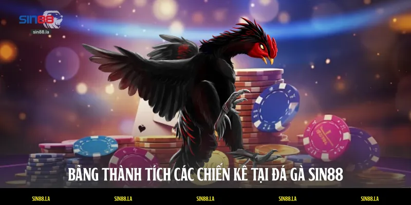 Bảng thành tích các chiến kê tại đá gà SIN88