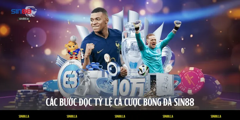 Các bước đọc tỷ lệ cá cược bóng đá SIN88