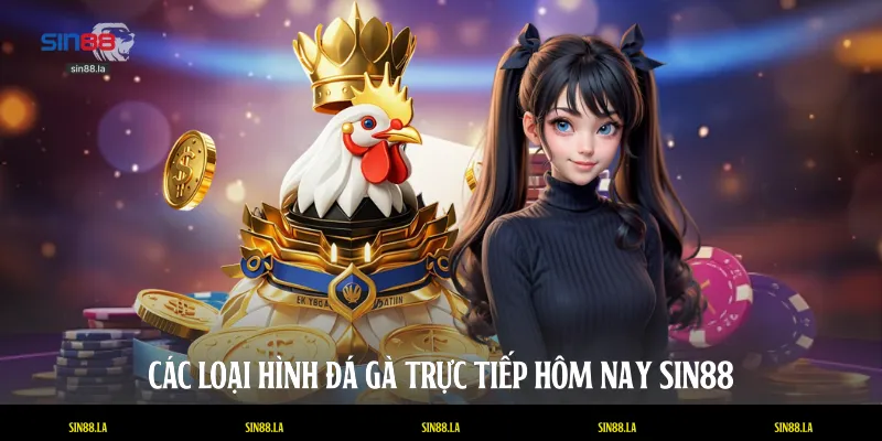 Các loại hình đá gà trực tiếp hôm nay SIN88