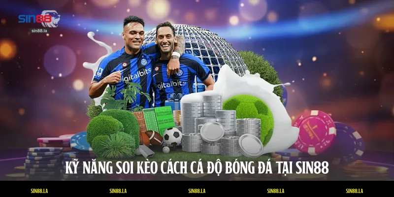 Kỹ năng soi kèo cách cá độ bóng đá tại SIN88